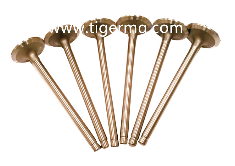 valves with heat-resistence coating