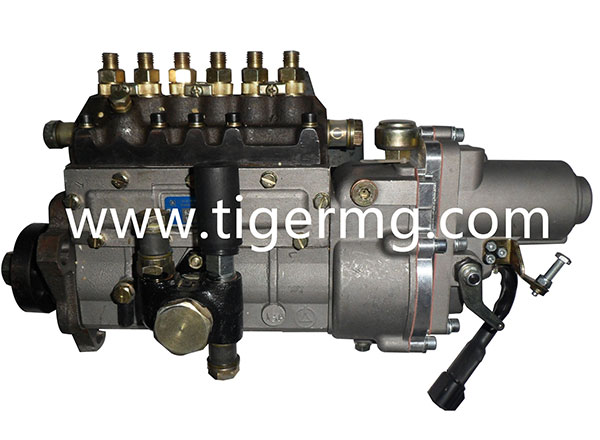 fuel pump with electric governor